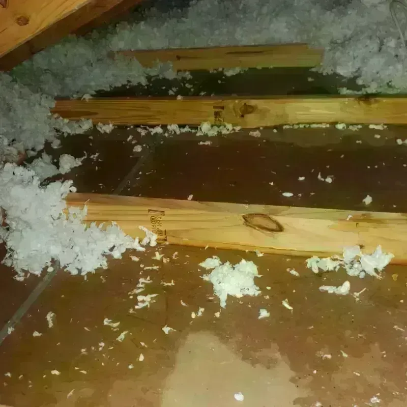 Attic Water Damage in Monroe, NC