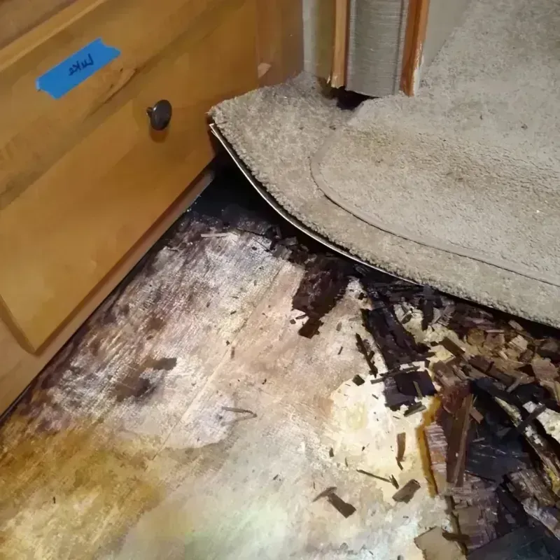 Wood Floor Water Damage in Monroe, NC